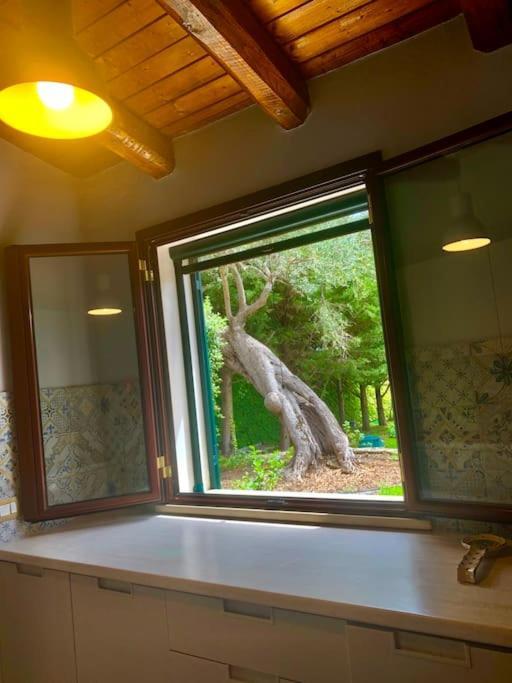 Casa Magnolia Lägenhet Augusta Exteriör bild