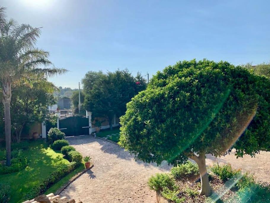 Casa Magnolia Lägenhet Augusta Exteriör bild